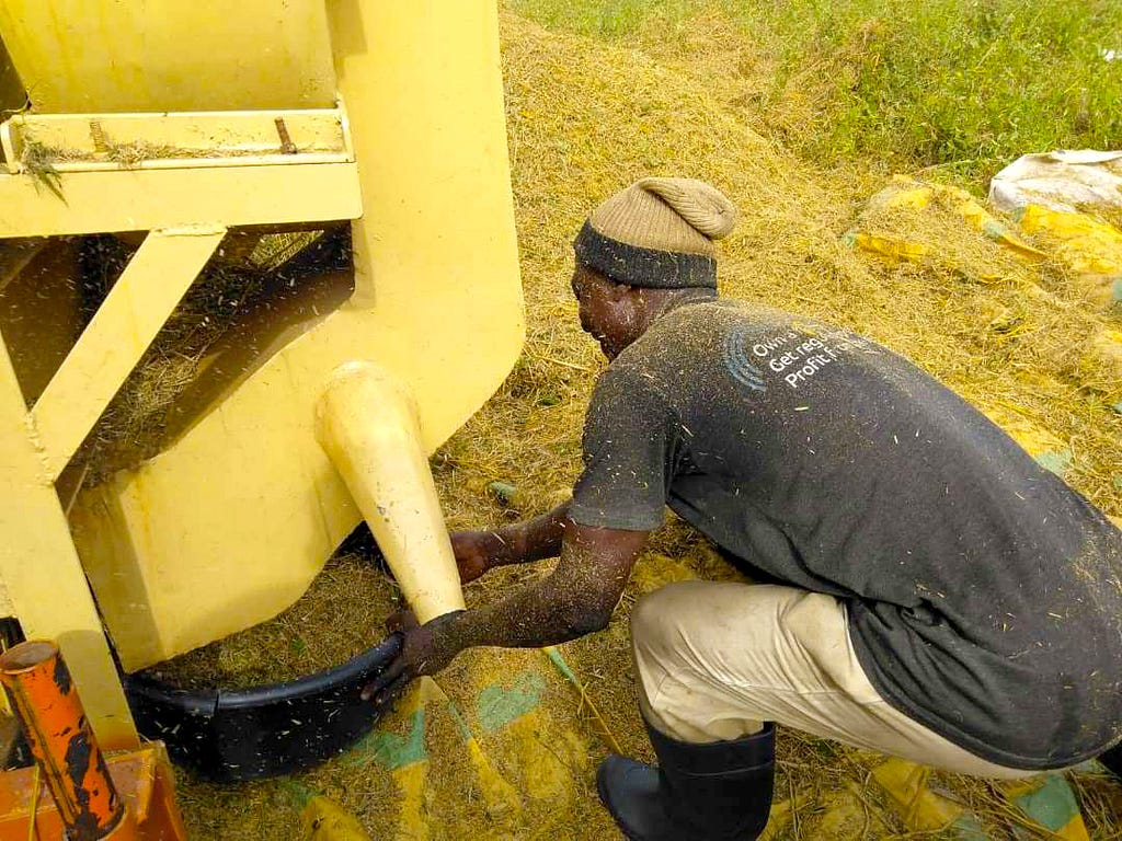 A Thrive Agric farmer using the rice Threshing machine after harvesting from his farm.