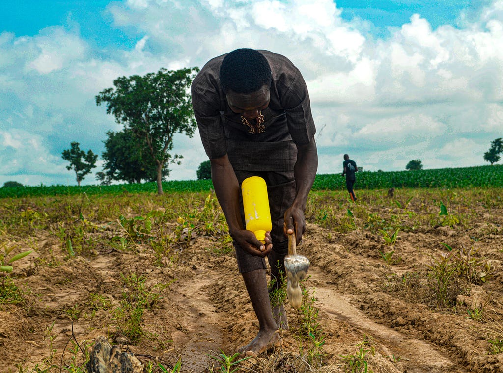 A Thrive Agric Sorghum farmer in Dogon Dawa in Kaduna State planting his farmland.