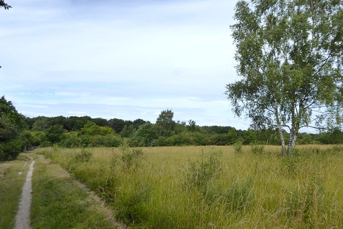 Banstead Common