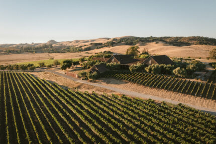 Ram’s Gate Winery: Where Sonoma’s Gateway, Science, and Storytelling Converge