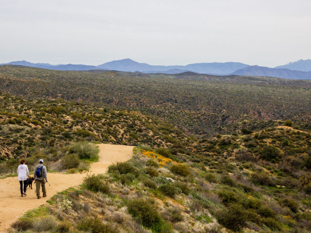 Landscape image of two hikers and their dog at the start of the Blue Wash Hiking Trail, near Carefree, Arizona. Rolling hills, poppies, shrubs and Four Peaks Mountain in the background, Easy Hiking Trails, Central Arizona, Northern Phoenix Area, Family and Dog Friendly Hiking Trails, Copyright azutopia.com.