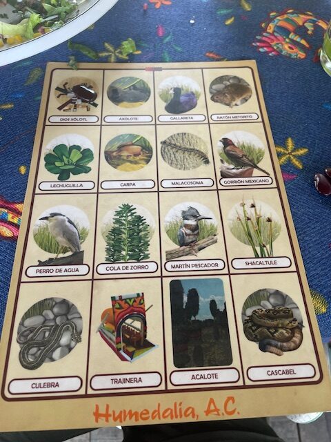 Loteria game 2025 SECOLAS conference