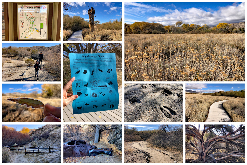 Big Morongo Canyon Preserve