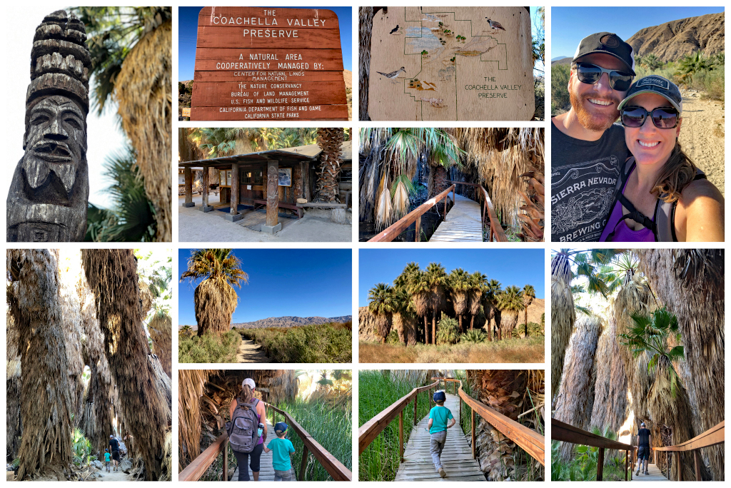 Coachella Valley Preserve - Hike Palm Springs with Kids