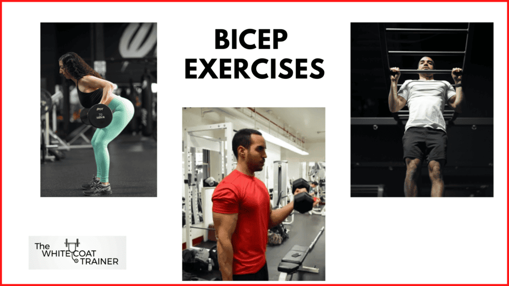image of a barbell row a pullup and a bicep curl