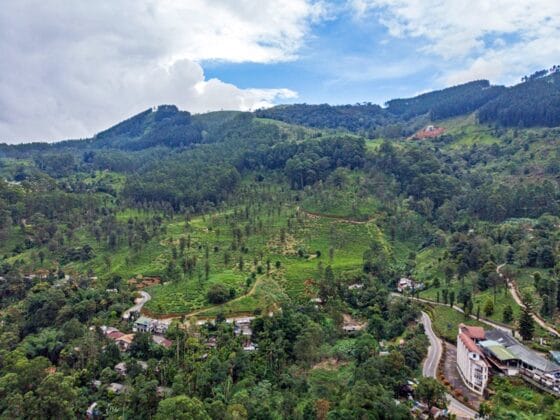The Best Places to Visit in Nuwara Eliya: Sri Lanka’s “Little England”