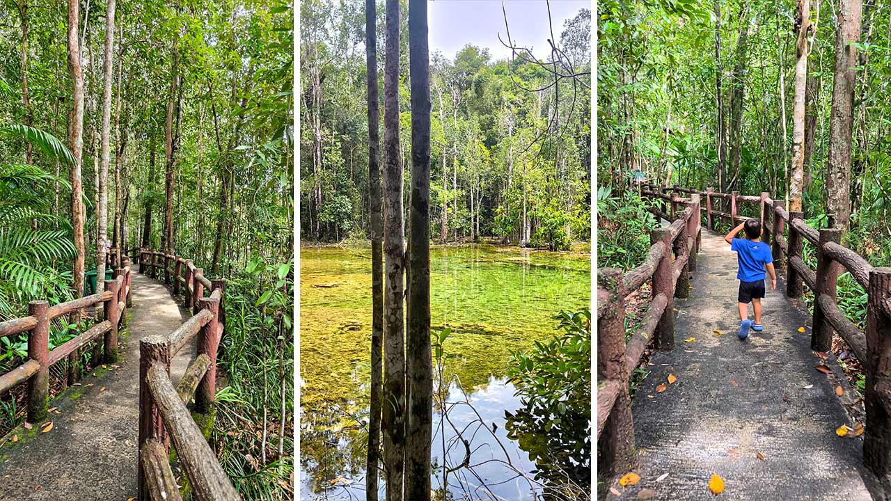 The path to the Emerald Pool in Krabi