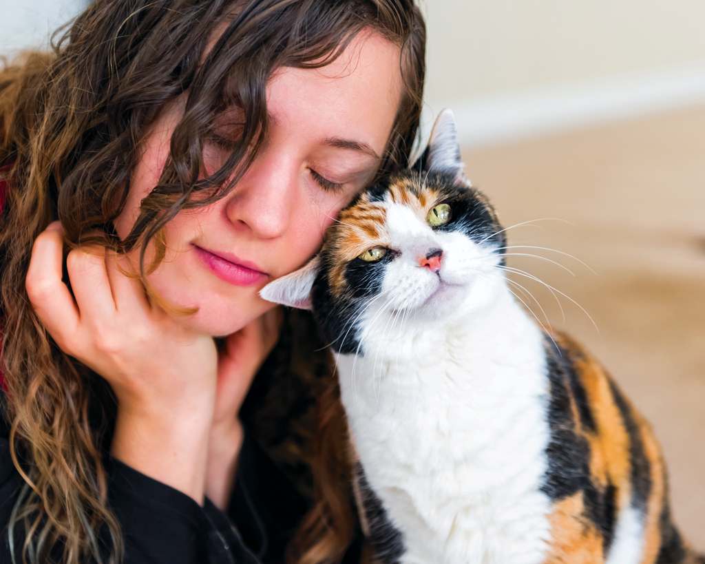 cat headbutting