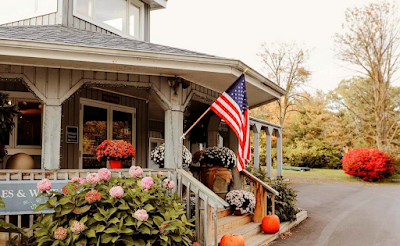 Knapp Winery on Cayuga Lake