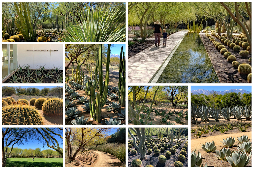 Sunnylands Center and Gardens