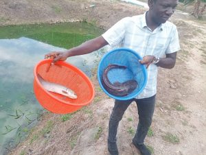 Fish farming business