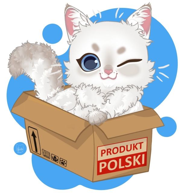 Recenzje i testy polskich produktów dla kotów - Apollo Fluffy Cat - blog o kotach i ekologii