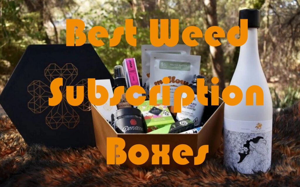best weed box