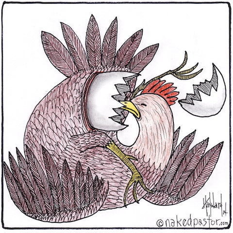 chicken or the egg cartoon nakedpastor david hayward