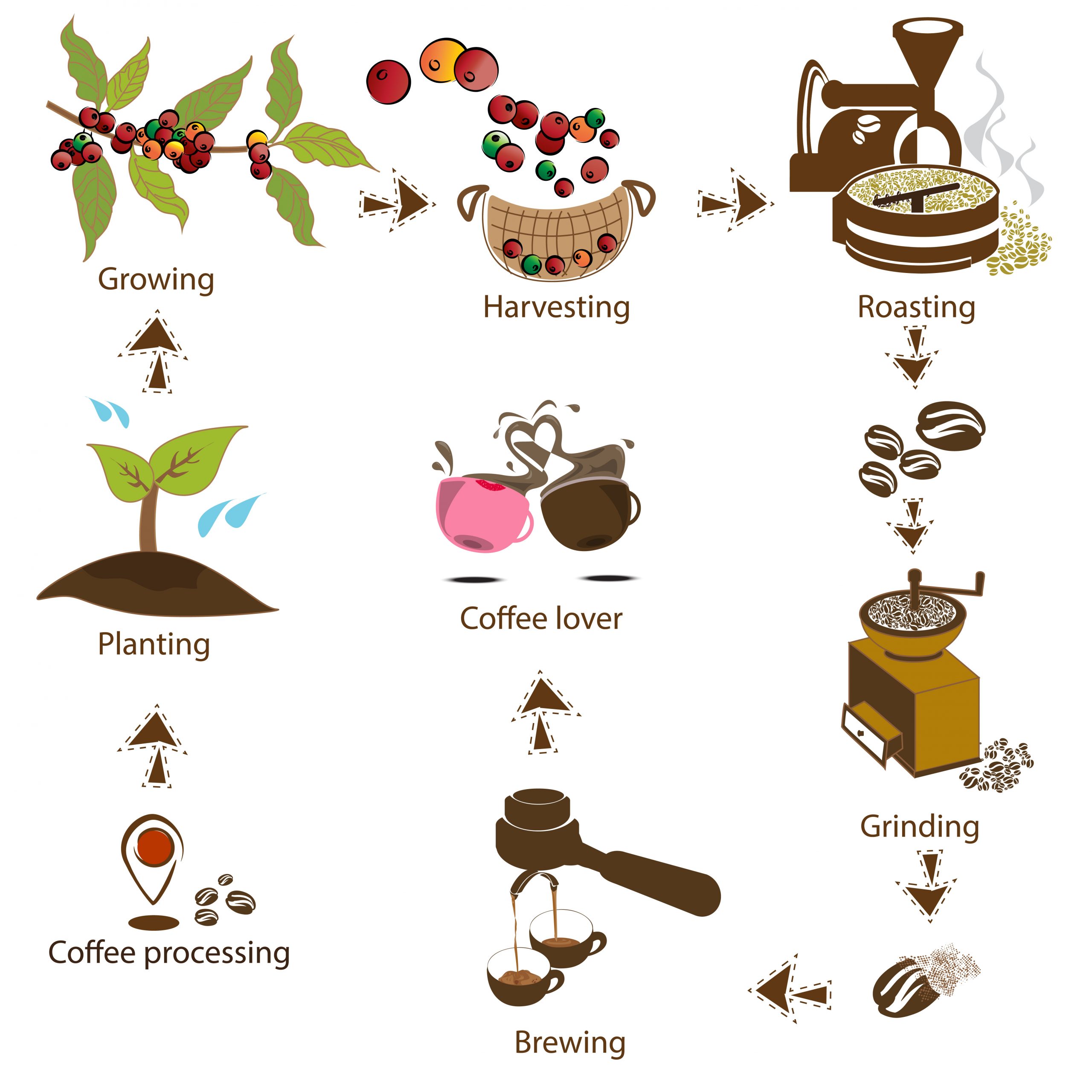 coffee process scaled