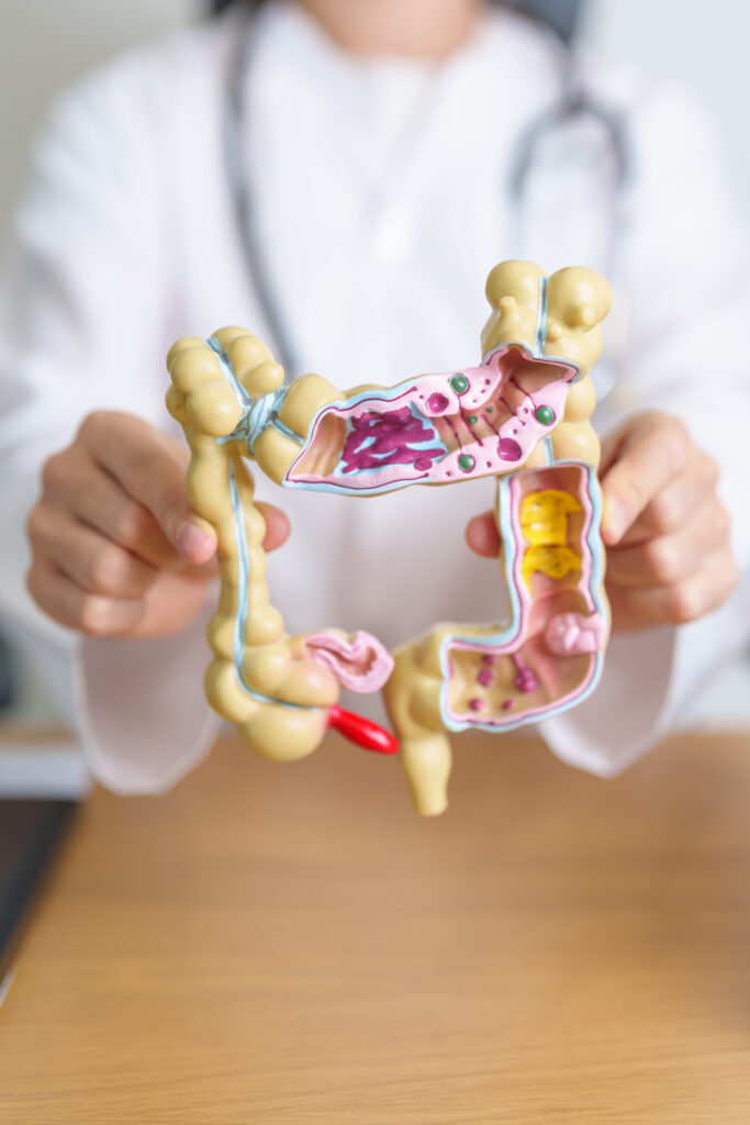 A balanced gut microbiome supports mental health, while an imbalanced gut can lead to mood disorders.