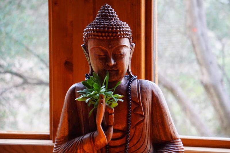 What To Expect On A Yoga Retreat