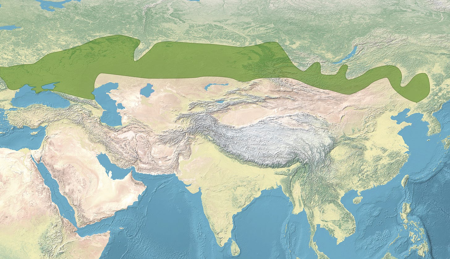 File:Map of the Eurasian steppe belt.png - Wikimedia Commons