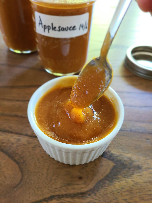 Best Applesauce Instant Pot Recipe | Homemade Instant Pot Applesauce Recipe