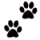 pawprints