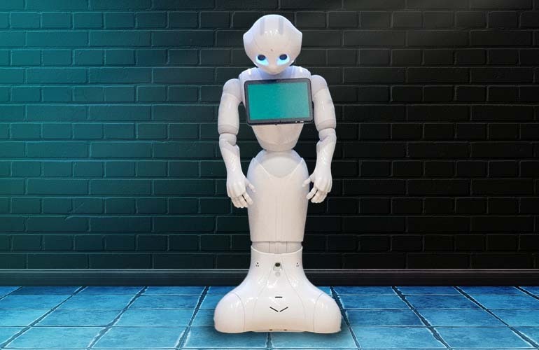 Pepper was the best-known product of Aldebaran, which was owned by SoftBank and URG.