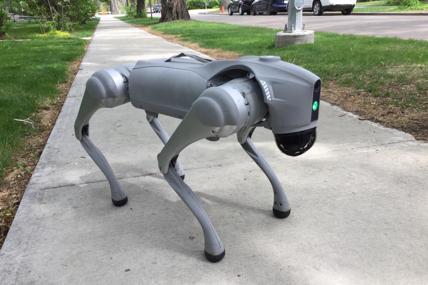 Taking the Unitree Go2 Pro out for a walk around the neighborhood will definitely get you noticed