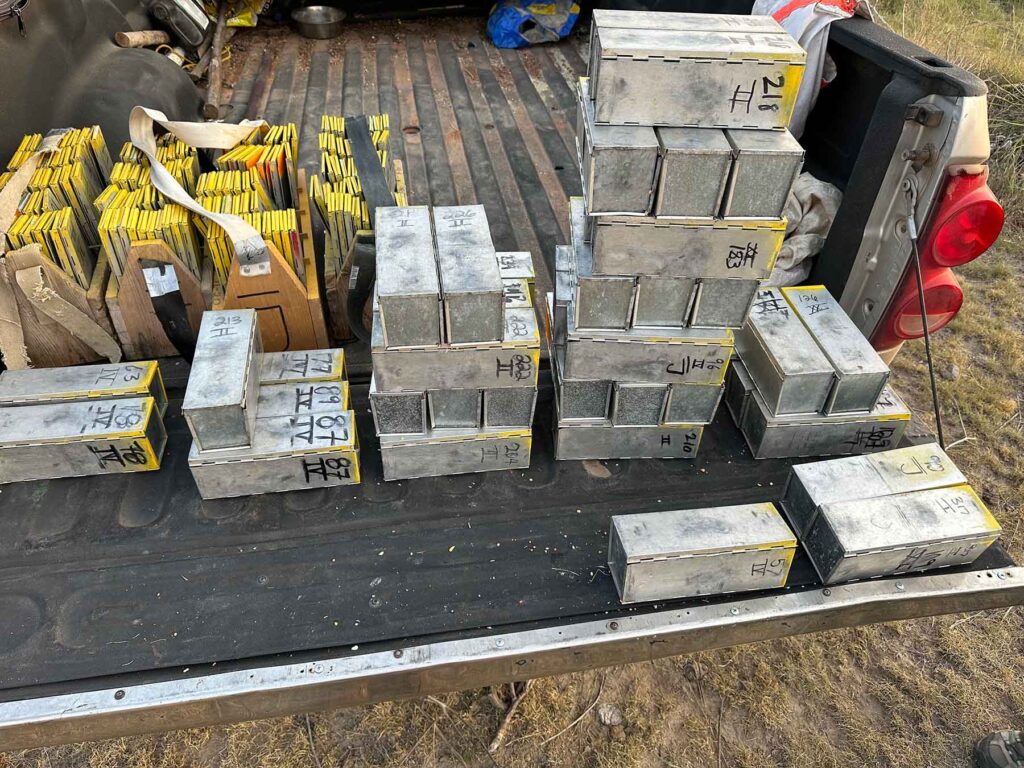 Sherman live-traps used for small mammal surveys. Image credit: Emily Wright
