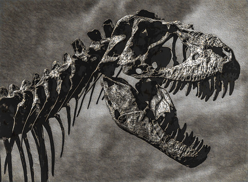 neck bone