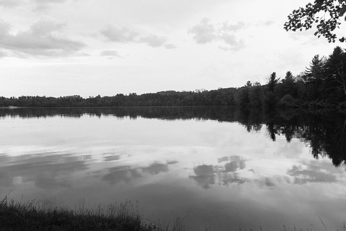 laurel lake