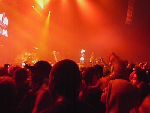 lil wayne videos