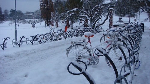 stockholm university sweden