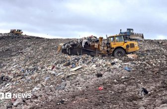 ‘Perfect storm’ could lead to rubbish piling up on Scotland’s streets, experts warn