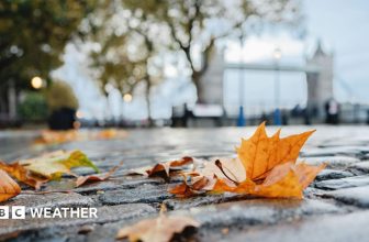 UK weather: Frost, wind and rain forecast as autumn warmth fades