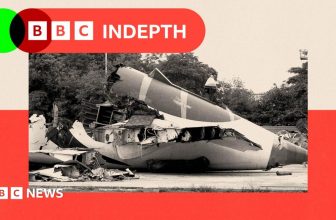 The furious dispute over what caused Air India flight 171 to crash
