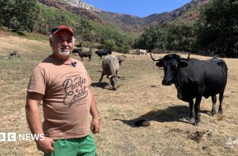 Spain battles climate change on several fronts