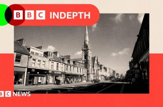My hometown shows that high streets have to change or die
