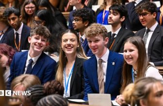 UK Youth Parliament looks set to be axed