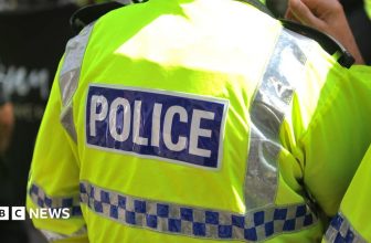Organised crime investigation sees 17 arrested in dawn raids