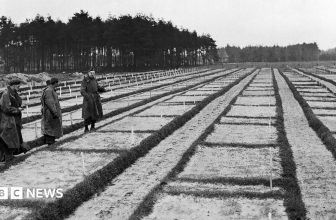 105-year-old investigated over murders at Nazi PoW camp in Germany