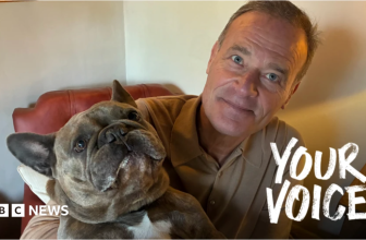 Are vet bills about to get cheaper?