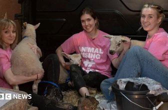 Activists found guilty of stealing King’s lambs from Sandringham