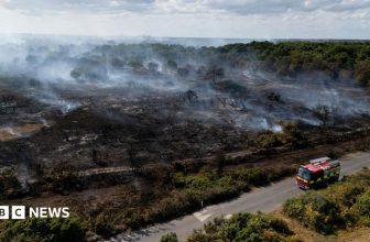 Lives will be lost unless UK does more to combat wildfires, committee chairwoman says