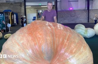 Giant veg Guinness World Records broken at Malvern Autumn Show