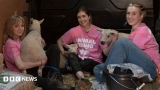 Activists found guilty of stealing King’s lambs from Sandringham