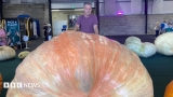 Giant veg Guinness World Records broken at Malvern Autumn Show